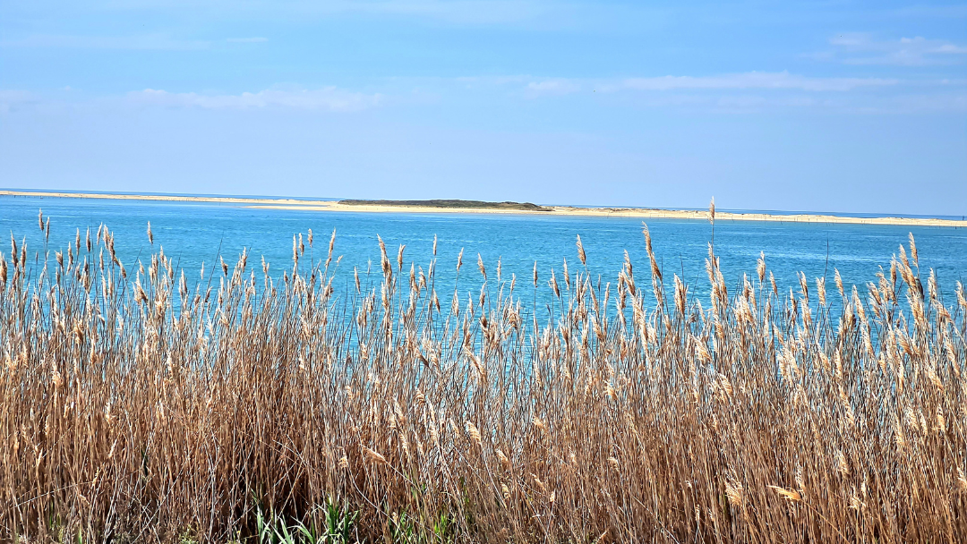 Gironde